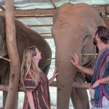 Vietnam e Thailandia 20 Giorni: Città, Templi e Mare